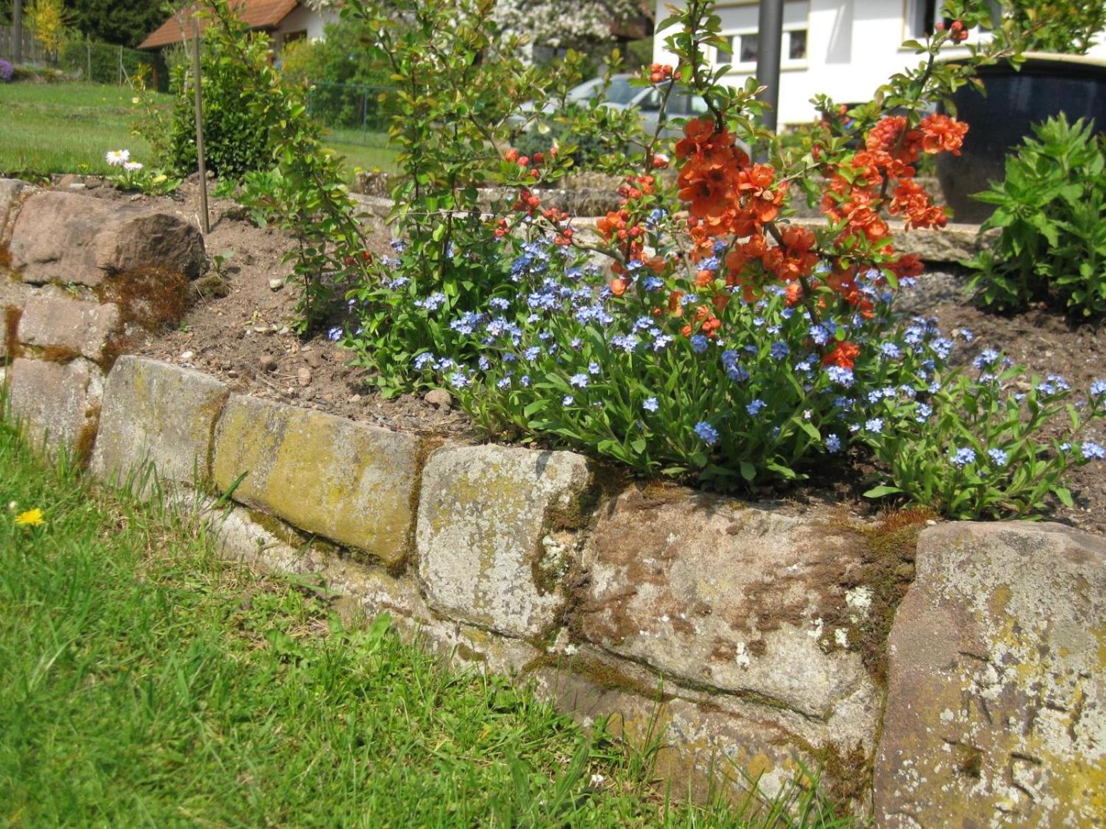 Ferienwohnung Haus Mühlgrund Bad Wildbad Exterior foto