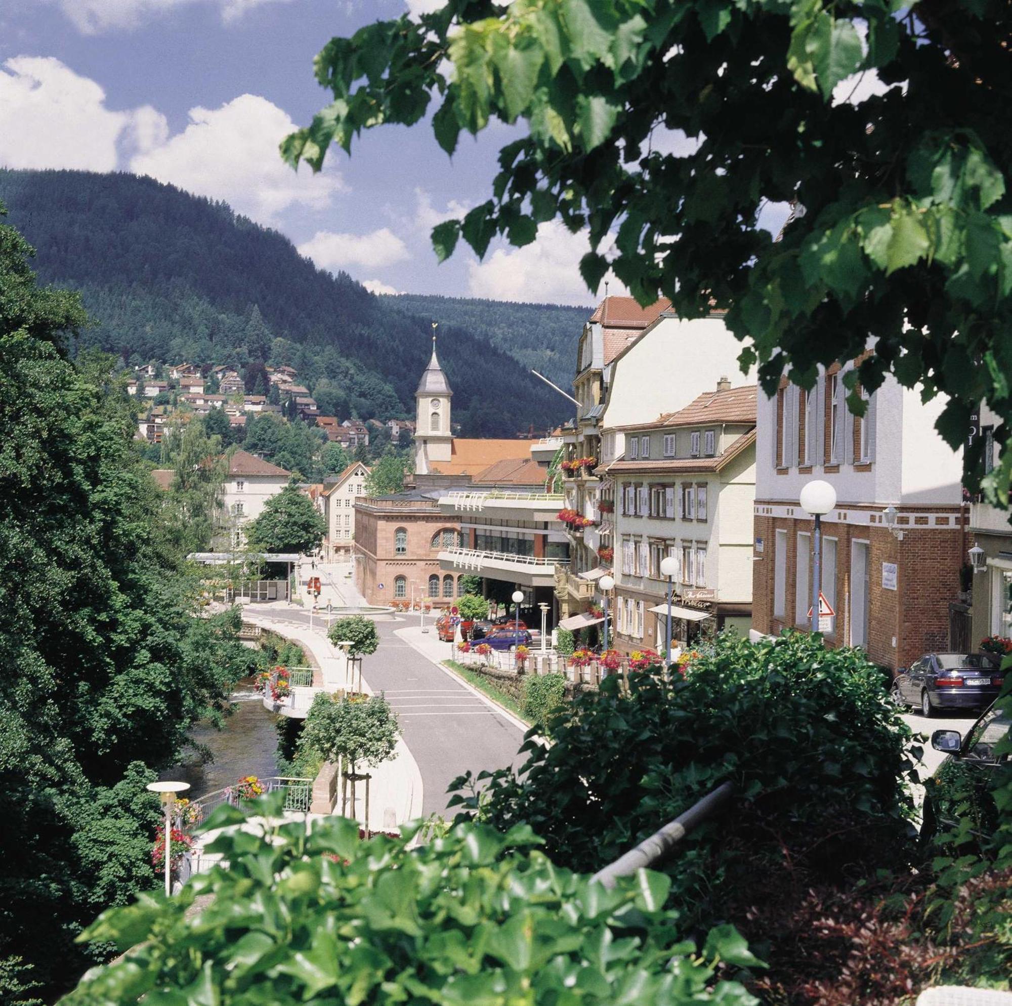 Ferienwohnung Haus Mühlgrund Bad Wildbad Exterior foto